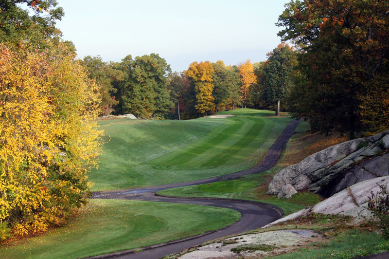 Open shot of the greens