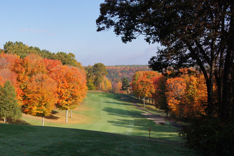 Open shot of the greens