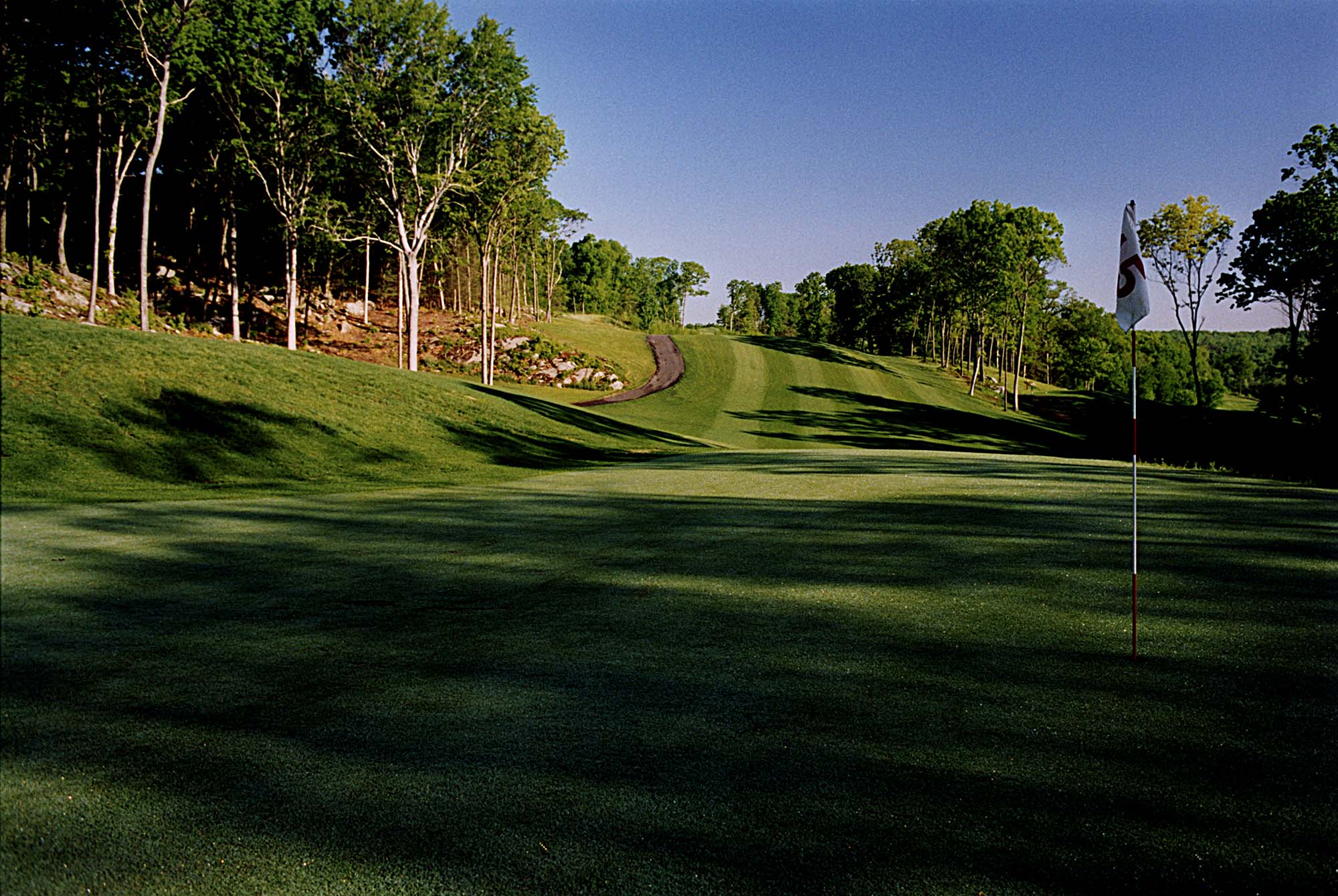 Open shot of the greens