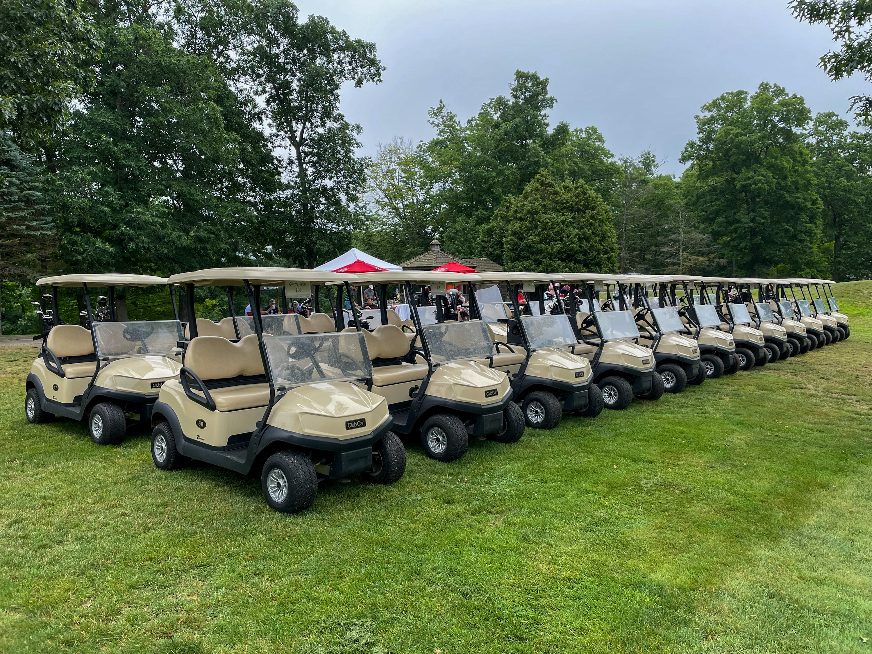 a fleet of golf carts on the course